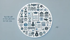 Tax Relief Subsidies in the USA in 2025