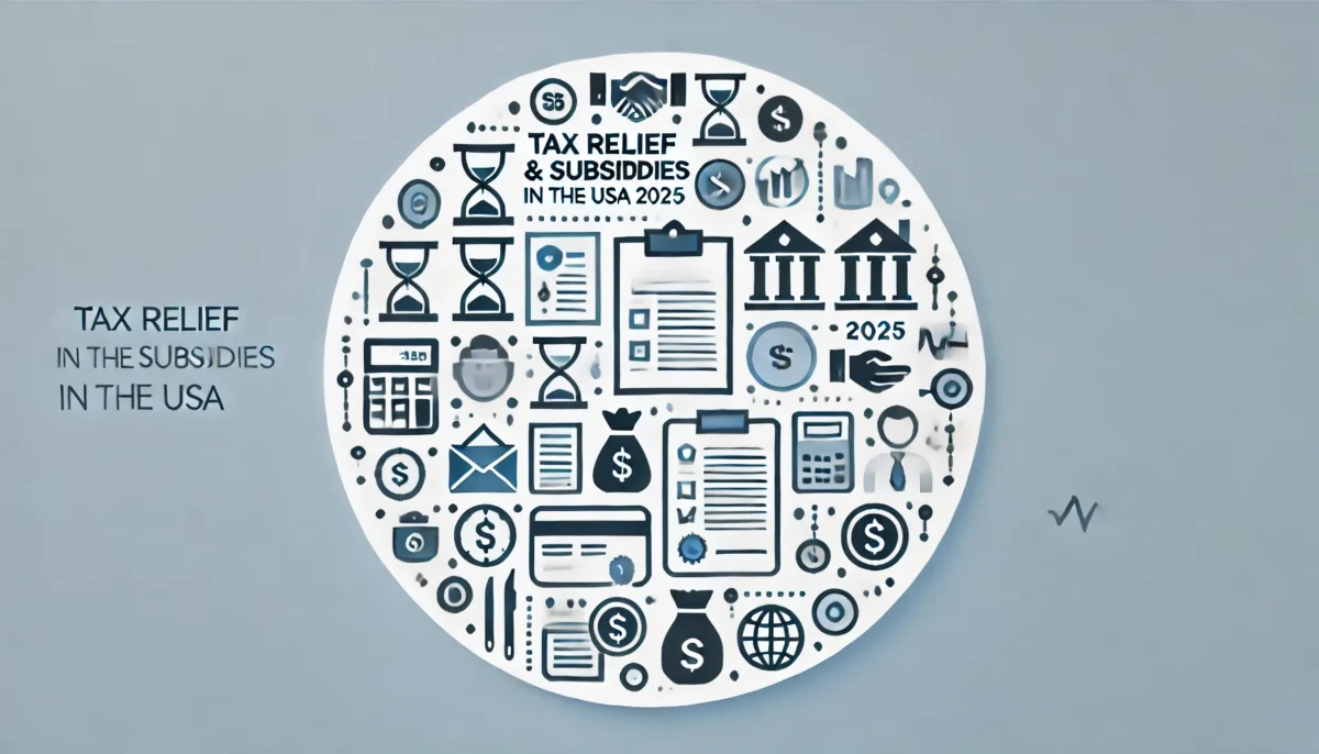 Tax Relief Subsidies in the USA in 2025